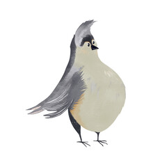 Hand-drawn illustration cute gray bird with a crest. Soft textures and charming children’s book style create cozy, whimsical feel. Perfect for nursery decor, wildlife themes, and seasonal projects