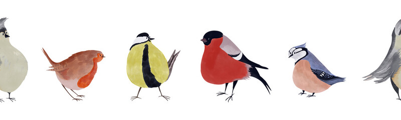 Illustration of colorful border featuring five winter birds: tit, bullfinch, robin, gray crested bird, and spotted blue bird. Created in a childlike illustration style, ideal for nature, winter themes