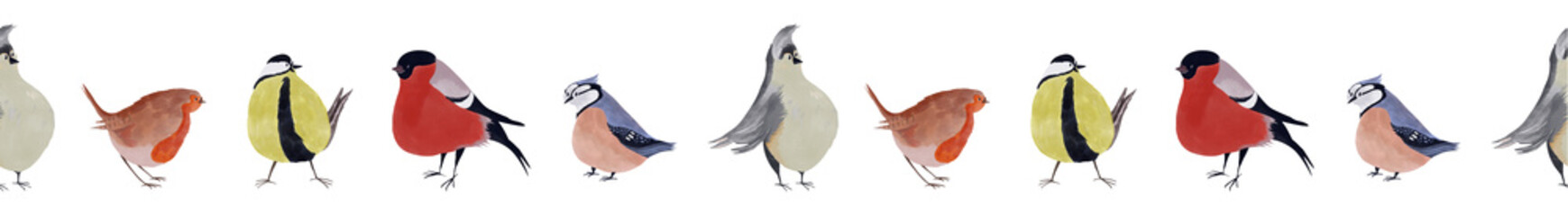 Illustration of colorful border featuring five winter birds: tit, bullfinch, robin, gray crested bird, and spotted blue bird. Created in a childlike illustration style, ideal for nature, winter themes