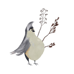 Watercolor composition with a cute gray bird with a crest and delicate grass. Hand-drawn digital illustration in a children’s style. Perfect for prints, postcards, patterns, and nature-themed designs