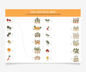 A page with a task for children. How different vegetables grow.
