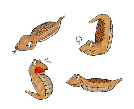 Tsuchinoko Images – Browse 190 Stock Photos, Vectors, and Video