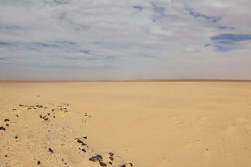 The panorama of Sahara desert of Africa, Mauritania.