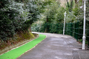 The walking path in the grove of Beykoz Khedive Palace (Hidiv Kasri). Natural tree lined walking path. Forest. Exercise and sports area. Outdoor. 