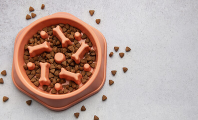 Slow feeder dog bowl preventing gulping and improving digestion