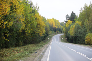 Curving Rural Road Through Lush Green Forest with Autumn Foliage Scenic Landscape