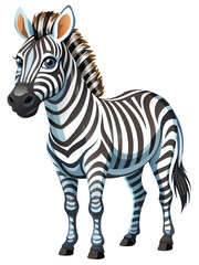 zebra on white background