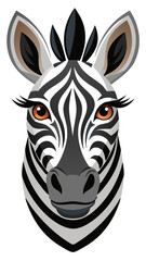 zebra head isolated on white © Tushar