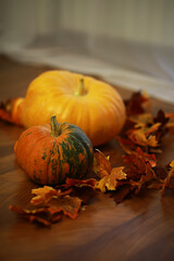 Autumn Pumpkins and Colorful Fallen Leaves on Wooden Floor