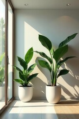 Sunlit Interior with Lush Green Plants in Modern White Pots