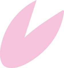 핑크 비정형
