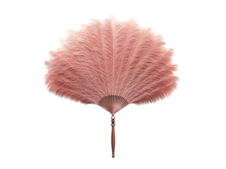 burlesque feather fan