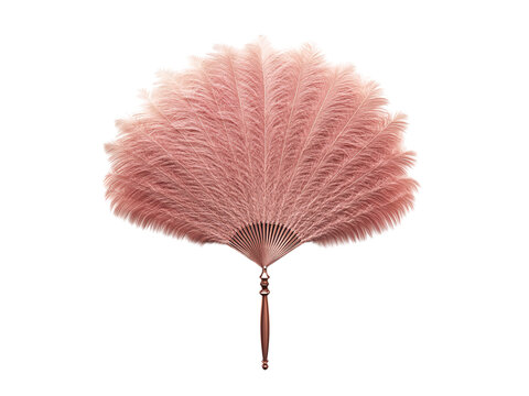 burlesque feather fan