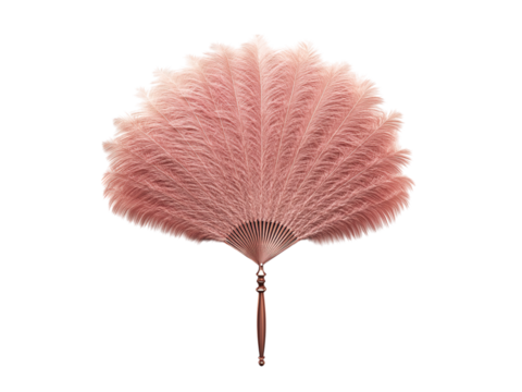 burlesque feather fan