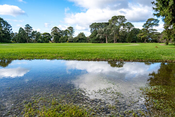 A puddle of rainwater collects on the soggy ground or the waterlogged grass, highlighting drainage...