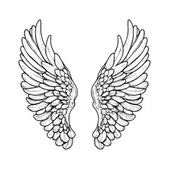 Hand drawn black angle bird's wings vector illustration