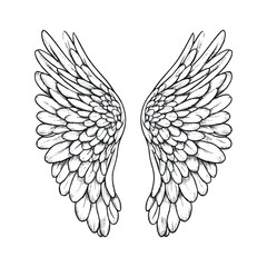 Hand drawn black angle bird's wings vector illustration