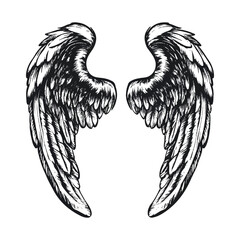 Hand drawn black angle bird's wings vector illustration