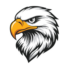 Fototapeta premium Eagle head vector clipart