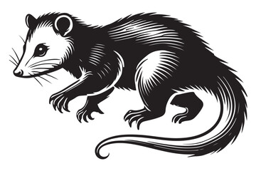 Opossum Illustration Wild Animal Silhouette Nocturnal Creature and Marsupial Artwork