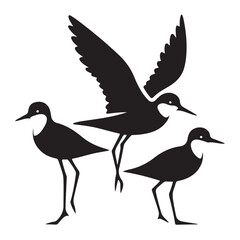Shorebirds Silhouette Vector Illustration Three Birds Standing Black Design