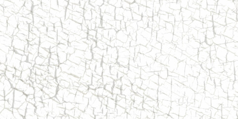 old wall background, a black and white vintage Structure cracked soil ground earth texture on white background, desert cracks, Dry surface Arid in drought land floor has many grooves and scratches. 