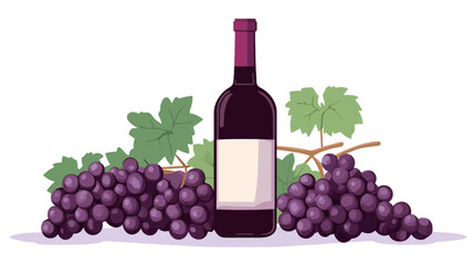 A digital illustration depicting a bottle of red wine positioned centrally. The bottle has a blank white label. On either side of the bottle are bunches of dark purple grapes, with vine
