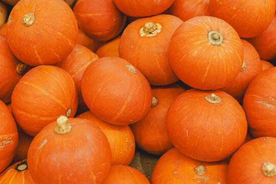 Orange autumn pumpkin on market display no label, ready for the fall season sale. - Powered by Adobe