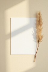 Blank Square Paper Mockup with Dried Plant Decor on Beige Background in Soft Sunlight