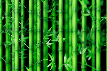 Fototapeta premium 3d rendering green bamboo plant
