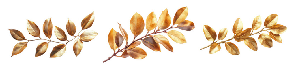 Obraz premium Golden leaves arranged artistically on a white background.