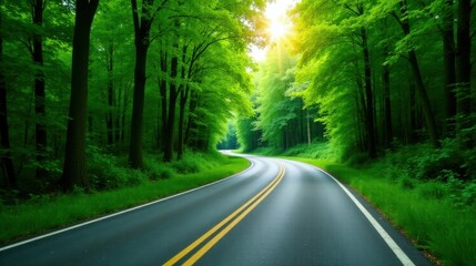 Obraz premium Asphalt Path Winding Through a Lush Green Canopy of Trees on a Sunny Day