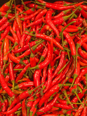 Pile of fresh chilli in supermarket. Close up of spicy food in bright red.