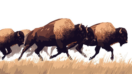 A stylized illustration depicts a herd of American bison running across a field of tall, dry grass. The bison are rendered with visible brushstrokes and varying shades of brown and dark