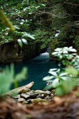 A serene small hidden blue lake nestled in a dense green mountain forest. Surrounded by moss-covered rocks, lush greenery, and untouched nature. Beauty of wilderness. Verical.