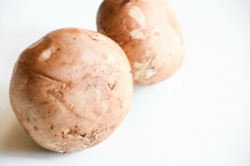 マッシュルーム