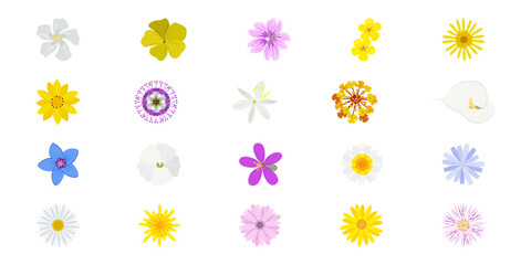 FLOWER COLLECTION STOCK 001