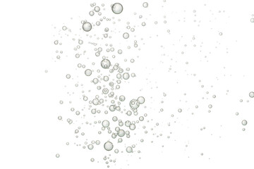 FIzz bubbles