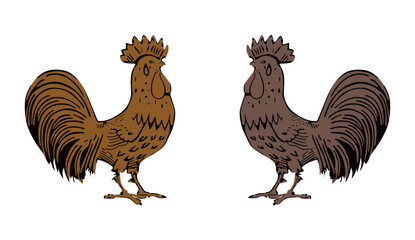 Vector image of an chicken design on white background