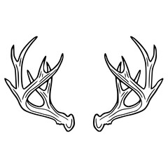deer antlers vector illustration