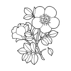floral bouquet vector illustration
