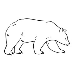 line art sketch of a polar bear