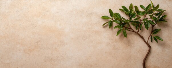 A minimalistic image featuring a single green plant with leaves against a textured beige background.