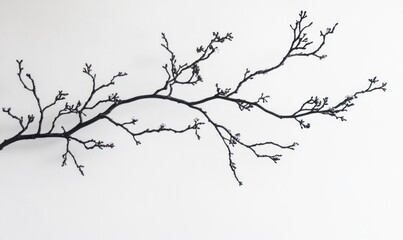 White background, black tree branches with small flowers, minimalism, minimalist style, negative space
