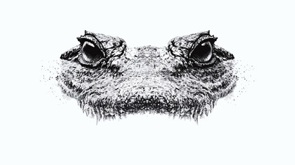 A detailed black and white illustration or drawing of the head and upper jaws of a crocodile or alligator. The image focuses on the reptile's eyes, textured snout, and scaled skin.  The