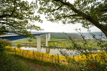 Fototapeta premium Moselle valley viewpoint near Winningen. View of the Moselle and the surrounding landscape 