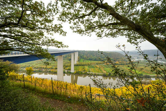 Moselle valley viewpoint near Winningen. View of the Moselle and the surrounding landscape
