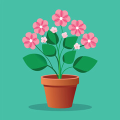 pink flower in pot flower in a pot