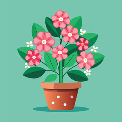 pink flower in pot flower in a pot