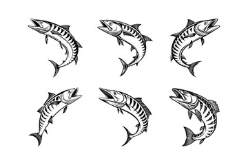 Ghostgill Wahoo silhouette vector illustration